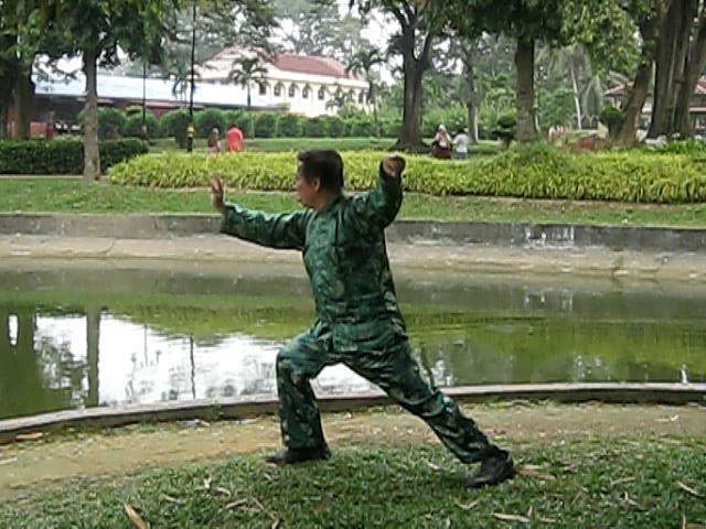 Yang Style Taijiquan